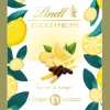 Outlet CHOCO FRUITS Zitrone Ingwer, 125g Frucht|Sommer