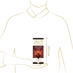 Sale EXCELLENCE Pailleté mit feinem Gebäck & Caramel, 100g Tafeln|Dunkel