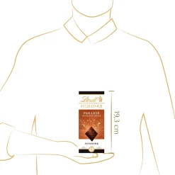 Clearance EXCELLENCE Pailleté mit feinem Gebäck, 100g Tafeln|Dunkel
