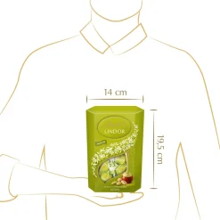 Fashion LINDOR Cornet Pistazie, 500g Cornet|Nuss