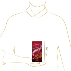 Hot LINDOR Double Chocolate, 100g Tafeln