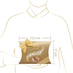 Sale LINDOR Kissenpackung Mischung, 323g Sonstiges|Dunkel