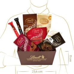 Discount LINDOR Geschenkkorb Mischung, 750g Tafeln|Sticks